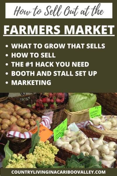 How to Sell Your Produce at the Farmers Markets - Homestead Income Vegetable Stand Ideas Farmers' Market, Ideas For Farmers Market Booth, Produce Market Ideas, How To Sell At Farmers Market, What Sells At Farmers Markets, Selling At A Farmers Market, Produce Market Display, Selling Herbs At Farmers Market, Best Sellers At Farmers Markets