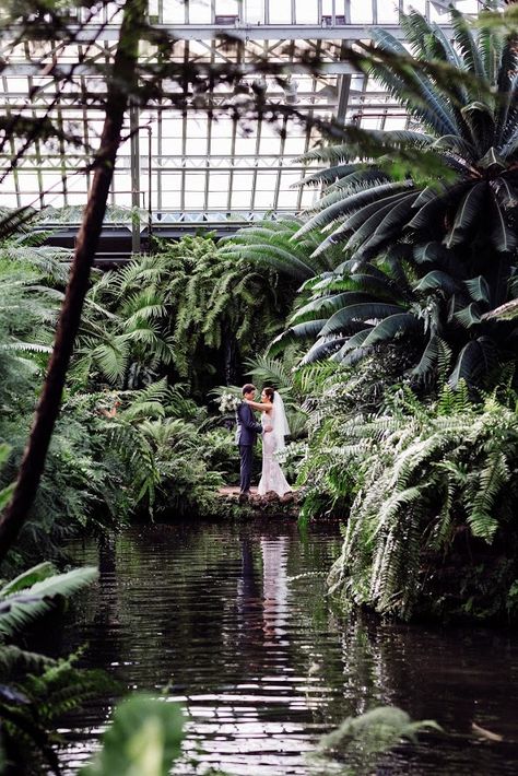 Indoor Wedding Venues, Garfield Park Conservatory, Conservatory Wedding, Wedding Venues Indoor, Botanical Gardens Wedding, Greenhouse Wedding, Tropical Forest, September Wedding, Botanical Wedding