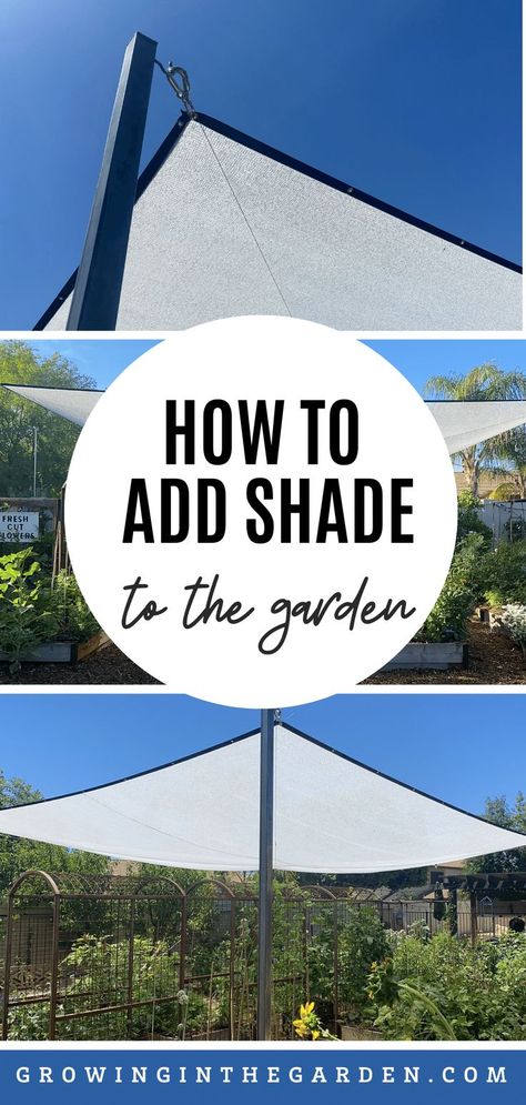 Diy Shade For Garden, Plant Shade Cover Diy, Garden Shade Cloth, Shade Cloth Garden, Diy Clothesline, Greenhouse Shade Cloth, Above Ground Garden, Arizona Garden, Garden Sun Shade