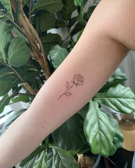 Tattoo by Cholo. Fine Line Rose Tattoo, Line Rose Tattoo, Fine Line Rose, Tattoo Fine Line, Small Rose Tattoo, Clock Tattoo, Cute Tattoos For Women, Classy Tattoos, Discreet Tattoos