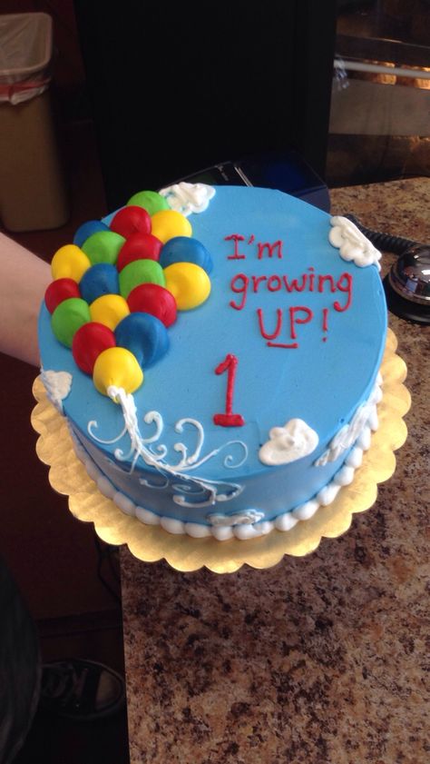 #smashcake #upthemebirthday #disneypixar #up Up Theme Smash Cake, Up Movie Cake Ideas, Up Theme Birthday Cake, Up Themed Cake, Up Cake Disney, Up Birthday Cake, Up Cake, Up First Birthday Party, Up Themed Birthday Party Pixar