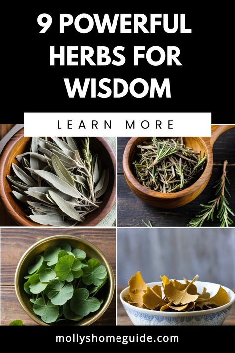 Ancient Herbal Remedies, Herb Knowledge, Herb Meanings, Witchy Herbs, Medicine Recipes, Greek Goddess Of Wisdom, Herbal Education, Herbal Medicine Recipes, Goddess Of Wisdom