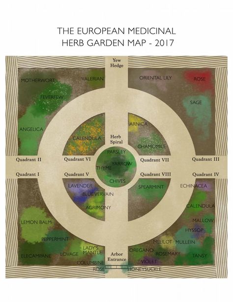 European Medicinal Herb Garden | Evergreen Teaching Gardens Medicinal Garden Layout, Medicinal Herb Garden, Medicine Garden, Sacred Garden, Medicinal Herbs Garden, Herbs Garden, Medicinal Garden, Herb Garden Design, Medicinal Herb