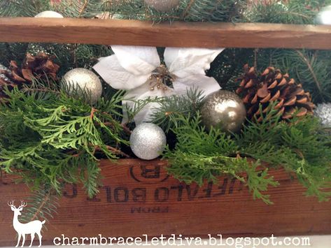 Our Hopeful Home: Natural Christmas Styling: Vintage Wooden Tool Box with Fresh Evergreens Toolbox Decor, Natural Filler, Moss Rocks, Wooden Tool Box, Natural Fall Decor, Christmas Styling, Tool Box Diy, Tool Caddy, Wood Tool Box