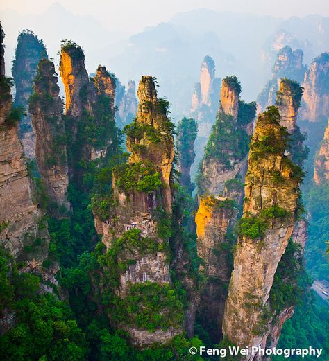 The Gathering of Heavenly Soldiers, Zhangjiajie National Forest Park by Feng Wei Photography Tianzi Mountains, Zhangjiajie China, China Tourism, Zhangjiajie, Chinese Landscape, James Cameron, Amazing Travel Destinations, Forest Park, Travel Places