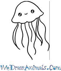 How to Draw a Baby Jellyfish Fish Drawings Easy, Jellyfish Drawing Easy, Easy Jellyfish Drawing, Baby Lemur, Jellyfish Tentacles, Baby Jellyfish, Ethereal Essence, Jellyfish Drawing, Jellyfish Print