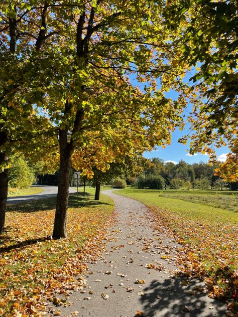 Beginning Of Fall Aesthetic, Autumn Australia Aesthetic, Late Summer Early Fall Aesthetic, Sunny Autumn Aesthetic, Sunny Fall Aesthetic, Autumn Romanticizing, Autumn Trees Aesthetic, Fall Trees Aesthetic, Early Fall Aesthetic