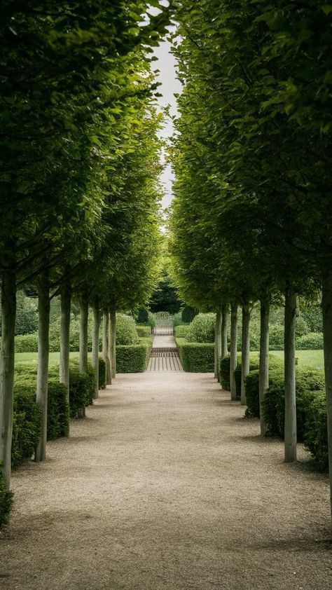 Old Westbury Gardens Wedding, Hidden Mansion, Old Money Garden, Old Westbury Gardens, Westbury Gardens, Old Westbury, Ghost Bride, Estate Garden, British Garden