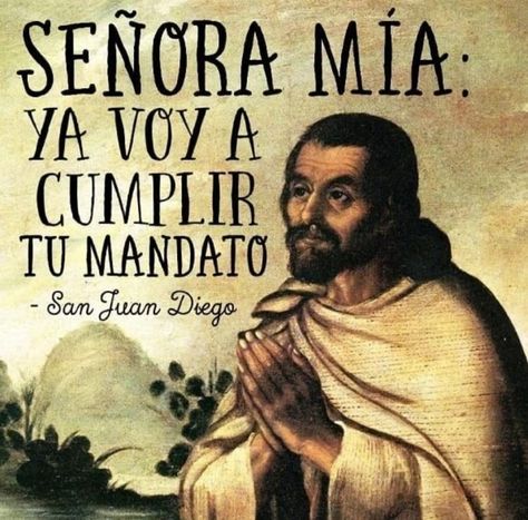 Virgin Guadalupe, Juan Diego, Our Lady, Historical Figures, Movie Posters, Quick Saves, Film Posters