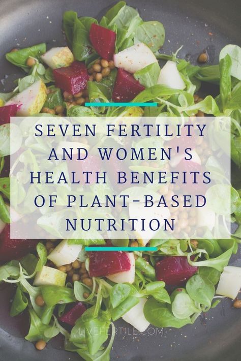 Fertility Smoothie, Vegan Pregnancy, Fertility Nutrition, Vegetarian Meat, Fertility Tips, Fertility Foods, Fertility Diet, Plant Based Nutrition, Health Snacks