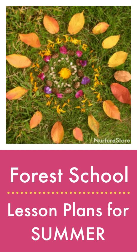 Forest school lesson plans for summer - NurtureStore Nature Curriculum, Plans For Summer, Early Years Educator, School Lesson Plans, Forest School, Creative Learning, School Lessons, Fun Crafts For Kids, Learning Through Play