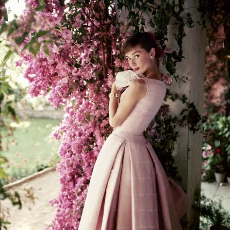 Audrey Hepburn style file: Best dresses and outfits from the 1950s fashion icon | London Evening Standard | Evening Standard Aubrey Hepburn, Audrey Hepburn Photos, Karen Elson, Audrey Hepburn Style, Hepburn Style, Glamour Magazine, Lauren Bacall, Fair Lady, 가을 패션