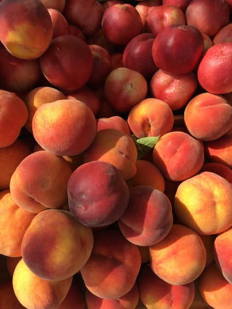 Dark Peach Aesthetic, Nectarine Aesthetic, Nectarine Pictures, Peach Fruit Aesthetic Wallpaper, Peach Aesthetic Fruit, Peaches Aesthetic Fruit, Peach Fruit Aesthetic, Aesthetic Mango Fruit Pictures, Peach Fruit Photography