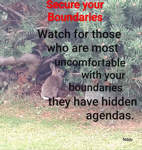 When you set boundaries in your life there will be people who will get upset and make it about them, so they can breakdown your stands, be careful as most of the time they have a hidden agenda. Mother In Law Boundaries Quotes, Setting Boundaries With Mother In Law, Family Not Respecting Boundaries, Respecting A Mothers Boundaries, When People Dont Respect Your Boundaries, Boundaries Quotes, Hidden Agenda, Set Boundaries, Be Careful