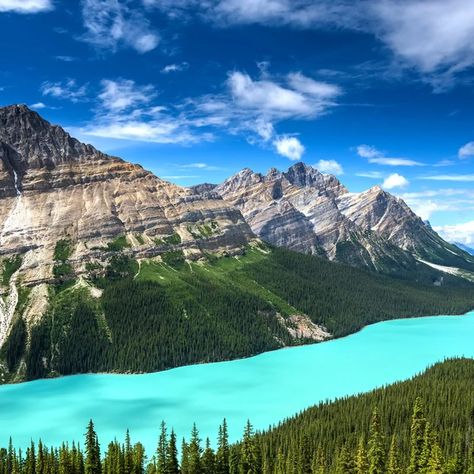 Lakes In Canada, Peyto Lake, Maligne Lake, Cross Country Skier, Lake Water, Lake Ontario, Lake Louise, Banff National Park, Beautiful Lakes