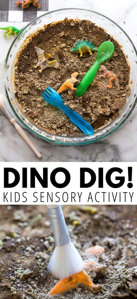 Fossils for kids activity. Learn how fossils are formed and create your own dinosaur dig the kids will love! A super fun activity that focuses on using fine motor skills and encourages students to learn about science from an early age. This dino dig is perfect for sensory seeking kids and for a dinosaur themed party!  How to create a dinosaur dig.  #dinodig #sensoryactivity Fossils Activities, Dinosaur Activity, Kids Gratitude Journal, Kids Sensory Activities, Dinosaur Activities Preschool, Dino Dig, Gratitude Journal For Kids, Dinosaur Projects, Dinosaur Dig