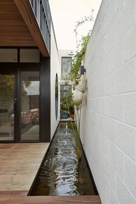 Room Architecture, Kolam Koi, Outdoor Ponds, Timber Ceiling, Internal Courtyard, Narrow House, Mid Century Architecture, Farm Buildings, Courtyard House