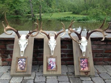 Elk Mount Ideas, European Deer Mount Ideas, European Deer Mount, Skull Mount Ideas, Elk Mount, European Mount Ideas, Deer Mount Decor, Draw Wolf, Deer Mount Ideas