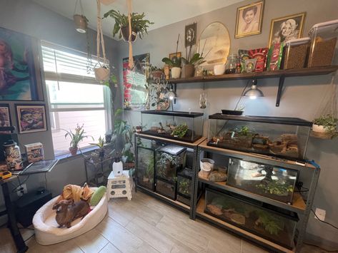 Reptile room 
Reptile enclosure 
Terrarium 
Snake 
Ball python 
Leopard geckos Reptile Room Setup Ideas, Reptile Room Office, Reptile Organization, Reptile Room Setup, Reptile Room Ideas, Reptile Bedroom, Terrarium Room, Bedroom With Reptile Tank, Reptile Room Decor