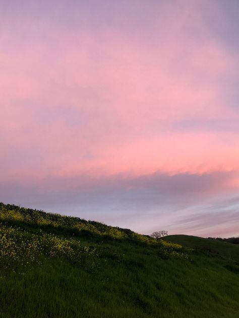 Pink Field Aesthetic, Sunset Hill Aesthetic, Sunset Hill, Pink Sunrise, Pink Landscape, Grassy Hill, Flower Road, Sunset Hills, Pink Forest