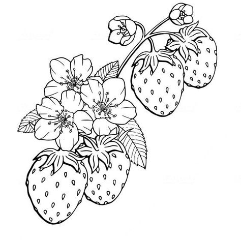 Strawberry Flower Illustration, Strawberry Blossom Tattoo, Strawberry Plant Tattoo, Strawberry Tattoo Design, Strawberry Outline, Fruit Tattoos, Procreate Stickers, Mom Dad Tattoo Designs, Strawberry Drawing