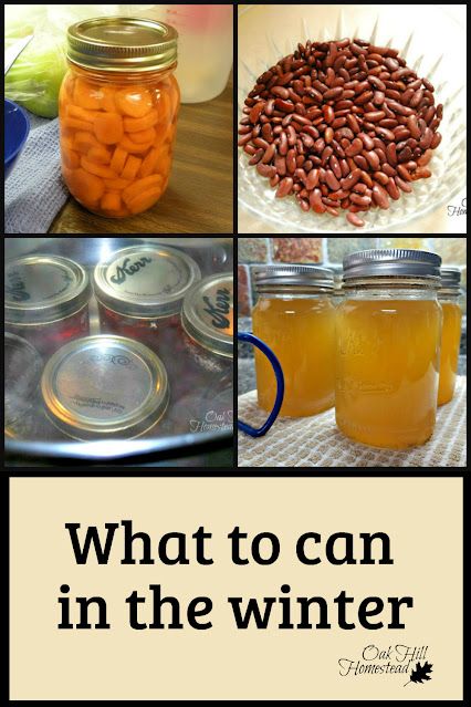 Foods to Can in the Winter Foods To Pressure Can, Winter Canning, Winter Canning Recipes, What Foods Can Be Water Bath Canned, What Can Be Water Bath Canned, Canning Times Water Bath, Water Bath Vs Pressure Canning, Canning Equipment, Water Bath Canning Recipes