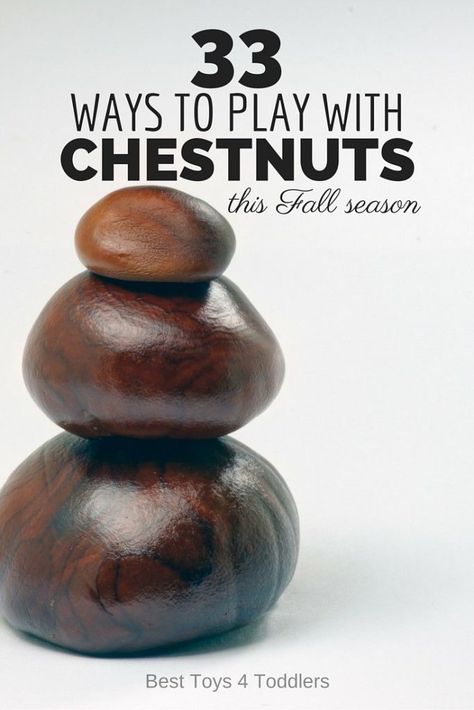 33 Ways to Play with Chestnuts this Fall season- arts, crafts and learning activities with chestnuts Chestnut Crafts, Conkers Craft, Buckeye Crafts, Taking Walks, 11 November, Easy Activities, Autumn Crafts, Seasons Art, Reggio Emilia