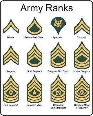 Shows military rankings Vojenský Humor, Wojskowy Humor, Military Alphabet, Army Theme, Army Wife Life, Army Ranks, Military Ranks, Army National Guard, Military Mom