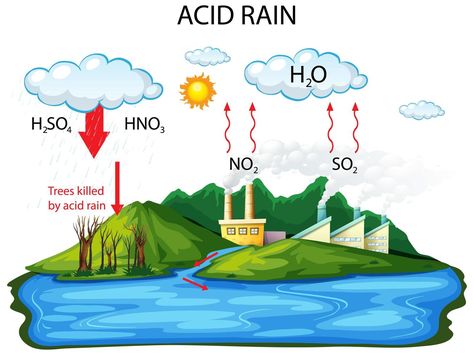 Diagram showing acid rain pathway on white background Atomic Age Aesthetic, Rain Cycle, Rain Clipart, Earth Science Projects, Discovery Day, Rain Pictures, Acid Rain, Canvas Learning, Diagram Design