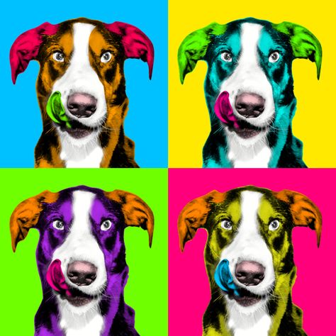 For only $5, I will pop Art Andy Warhol of your pet within 24 hr. | I will help you make the photo pop art like Andy Warhol style. My work is in digital format. draw and deliver pictures in digital | On Fiverr.com Andy Warhol Pop Art Paintings, Pop Art Andy Warhol, Pop Art Pet Portraits, Art Andy Warhol, Illustration Pop Art, Portraits Pop Art, Andy Warhol Pop Art, Andy Warhol Art, Warhol Art