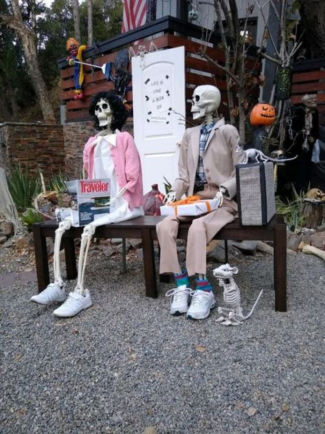 Funny Skeleton Poses Halloween, Halloween Skeletons Yard Funny, Skelton Ideas, Funny Skeleton Poses, Skelly Ideas, Skeleton Posing, Skeleton Decorations Outdoor, Skeleton Scenes, Skeleton Display