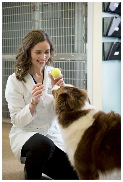 Morris Illinois, Veterinary School, Human Photography, Personal Branding Photography, Vet School, Veterinary Services, Media Branding, Branding Session, Care Hospital