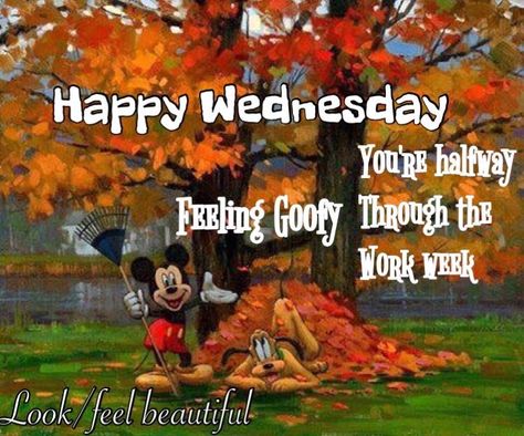 It's wacky Wednesday...enjoy your day! Day Before Thanksgiving, Wacky Wednesday, Enjoy Your Day, Happy Wednesday, Positive Thoughts, How To Feel Beautiful, Life Changes, Sense, Comic Book Cover