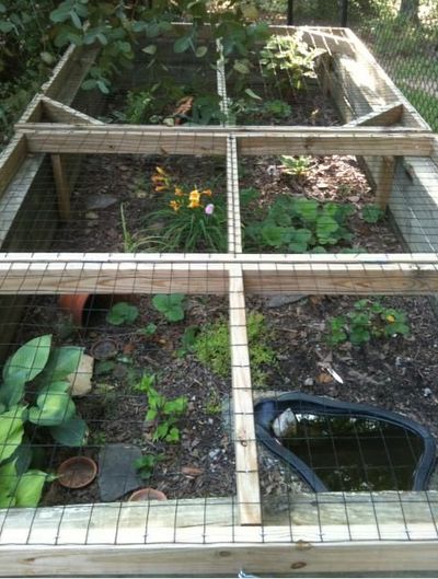 Box Turtle Habitat, Turtle Cage, Water Turtles, Outdoor Tortoise Enclosure, Turtle Enclosure, Animal Enclosures, Red Footed Tortoise, Turtle Care, Turtle Homes