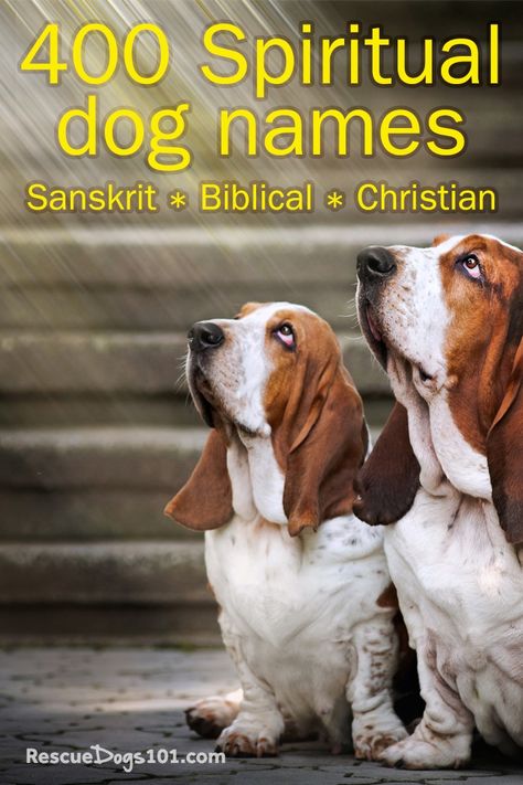 Full list of spiritual dog names and their meanings so you can find the best name based on faith, culture, and religious beliefs. List includes: Spiritual dog names, Biblical / Christian names for dogs and Sanskrit dog names Pet Names For Girls, Cool Dog Names Boys, Bible Names For Girls, Bible Boy Names, Male Dog Names Unique, Puppy Girl Names, Puppy Names Unique, Boy Puppy Names, Biblical Girl Names