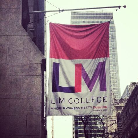 The LIM College flag waving proud. Photo credit: @Jessica Torres Lim College New York, Lim College, All About Anna, Nyc Dream, College Flags, 2024 Board, Best Colleges, Small Community, I M