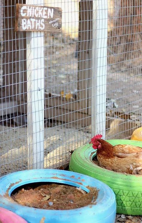 Chicken Bath, Cute Chicken Coops, Chicken Coop Decor, Portable Chicken Coop, Backyard Chicken Coop Plans, Chicken Pen, Diy Chicken Coop Plans, Backyard Chicken Farming, Best Chicken Coop