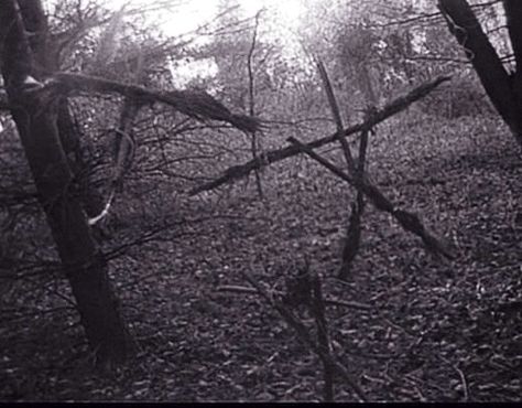 The Blair Witch Project (1999) The Coven Harper Woods Aesthetic, Scary Witch Aesthetic, Blare Witch Project, Blair Witch Aesthetic, Blair Witch Project Aesthetic, The Witch, The Blair Witch Project, Blair Witch Project, Blair Witch