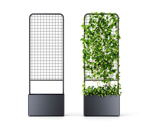 Botanical Planter | Stylecraft | Accessories, Planter, Wall Panels, Outdoor, Outdoor Accessories Designer Planters, Fence Wall Design, Screen Divider, Planter Wall, Stainless Steel Screen, Australian Flora, Indoor Outdoor Planter, Planter Design, Minimalist House Design