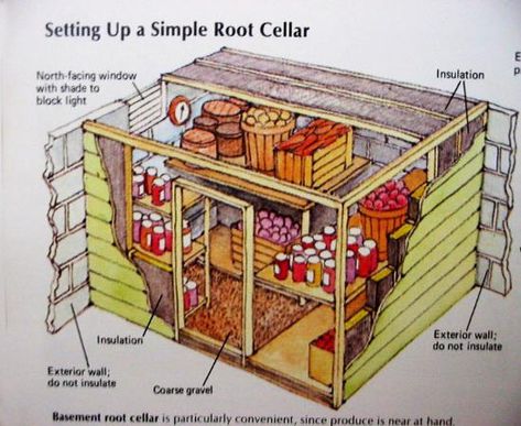 Root Cellar Designs, Eco Friendly Natural Cold Storage Solutions Root Cellar Plans, Root Cellar Storage, Store Vegetables, Root Cellar, Dry Food Storage, Cellar Design, Wooden Greenhouses, Vegetable Storage, Cold Room