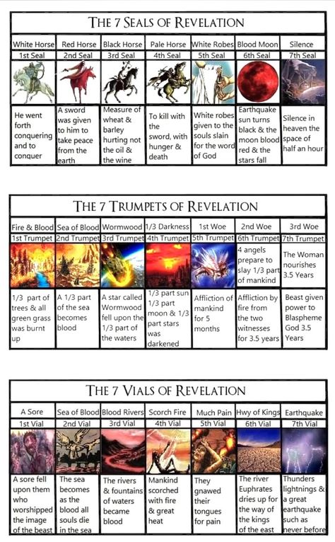 The Seven Churches Of Revelation, Denominations Of Christianity, Revelations Bible End Time, Book Of Revelation Art, 7 Trumpets, The Seven Seals, Revelation Prophecy, Seven Seals, Revelation Bible Study