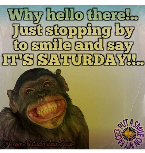 Happy Saturday Quotes Funny Hilarious Laughing, Saturday Morning Greetings, Saturday Quotes Funny, Saturday Memes, Its Saturday, Happy Saturday Quotes, Saturday Morning Quotes, Saturday Pictures, Happy Saturday Morning