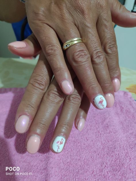 Pink flamingo nails 💅✨ Pink Flamingo Nails, Flamingo Nails, Pink Flamingo, Pink Flamingos, Flamingo, Nails, Pink