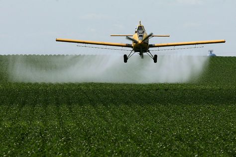 Crop Dusters Rural Cybercore, Crop Duster Airplane, Airplane Quotes, Crop Duster, Airplane Painting, Airplane Wallpaper, Farm Stuff, University Of Mississippi, Valentine Photography