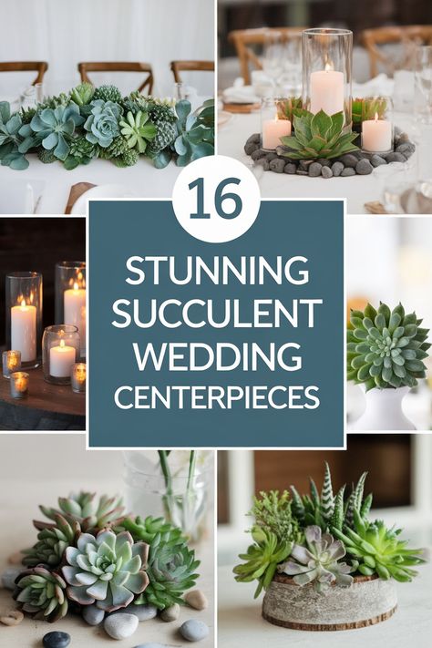 16 Enchanting Succulent Wedding Centerpieces to Delight Your Guests Succulent Photo Backdrop, Succulent Diy Ideas Crafts, Zoo Wedding Centerpieces, Plant Centerpieces Wedding, Succulent Centerpiece Ideas, Wedding Plants Decor, Wedding Tablescapes Round, Wedding Succulents, Succulent Wedding Decor