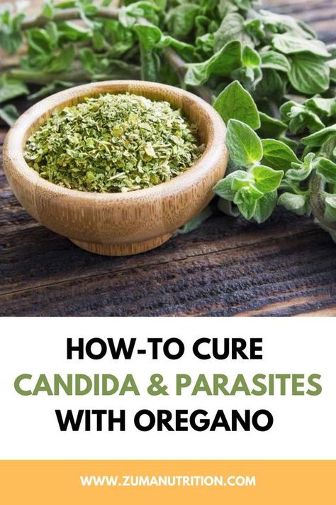 Oregano oil is powerfully antibacterial, antibiotic, antiviral, antifungal, and antiparasitic. This makes it a great herbal medicine for a number of pathogenic infections, including Candida infections and parasite infections. Herbal Parasite Cleanse, Detoxing Foods, Candida Cleanse Diet, Origanum Vulgare, Full Body Cleanse, Relaxing Essential Oils, Animal Photography Wildlife, Candida Cleanse, Candida Overgrowth