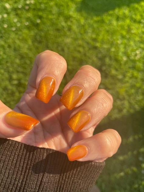 They go Orange when cold and Gold when warm. Love, love, love!!! Cat Eye Orange Nails, Orange Cateye Nails, Orange Cat Eye Nails, Orange Gold Nails, Mood Nails, Eye Nails, Cat Eye Nails, Orange Nails, Orange Cat