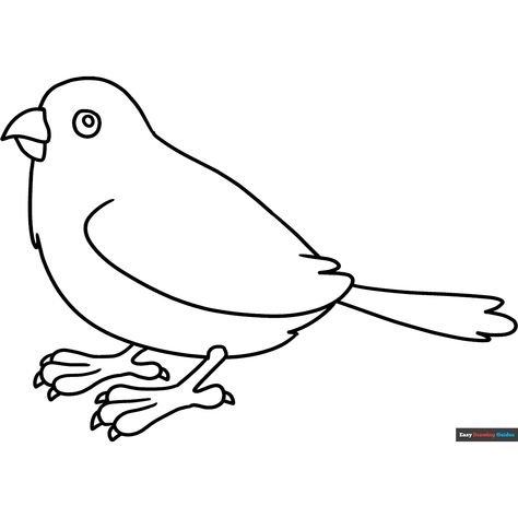 Free Sparrow Coloring Page for Kids Sparrow Pictures, Sparrow Drawing, Easy Drawing Guides, Owl Coloring Pages, Drawing Guides, Popular Cartoons, Owl Cartoon, Kids Print, Printable Coloring Sheets