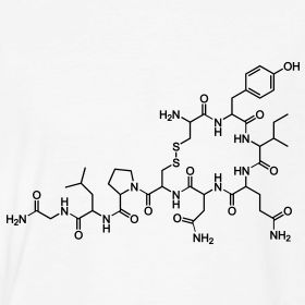 Oxytocin behind my ear or on the back of my neck Chemistry Tattoo, Aztec Symbols, Molecule Tattoo, Art Amour, Gem Tattoo, Semicolon Tattoo, Italian Phrases, Ink Crafts, Nerd Shirts