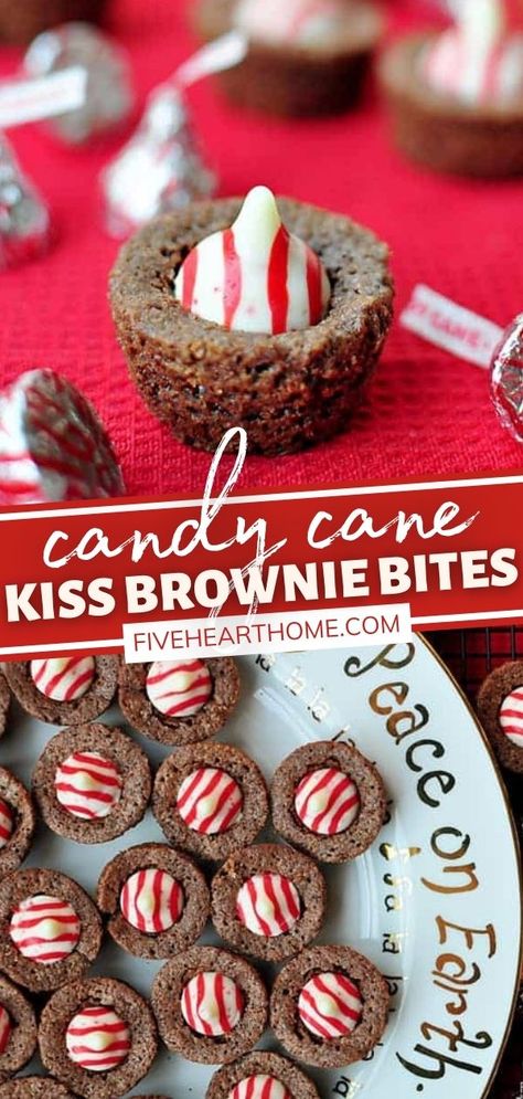 Holiday Treats Recipes, Christmas Decoration Diy, Brownies Recipes, Christmas Brownies, Diy Project Ideas, Cookie Platter, Homemade Food Gifts, Fudgy Brownie, Christmas Recipe